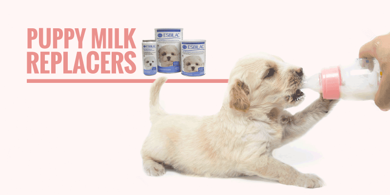 can we give puppies milk